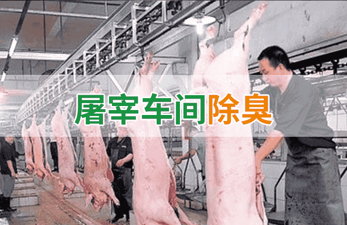 潔匠凈化·的凈工業(yè)除臭劑_屠宰場(chǎng)臭氣影響周邊環(huán)境？解決辦法在這里-1
