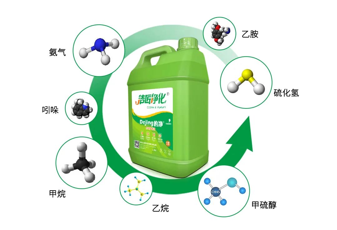 動(dòng)物無(wú)害化處理廠(chǎng)，惡臭異味危害大，<a href='/' style='color: blue;' target='_blank'>工業(yè)除臭劑</a>起作用！.jpg
