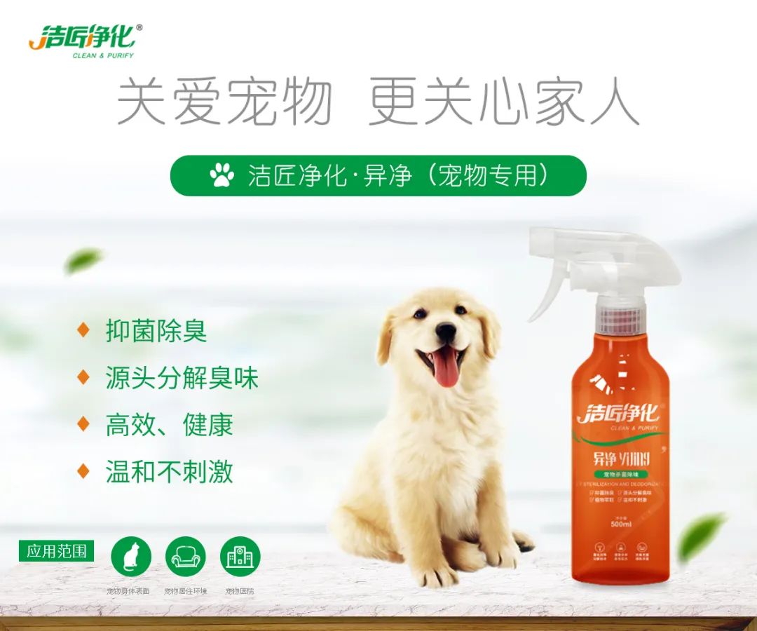 寵物氣味彌漫整個(gè)屋子，潔匠凈化教您如何除味